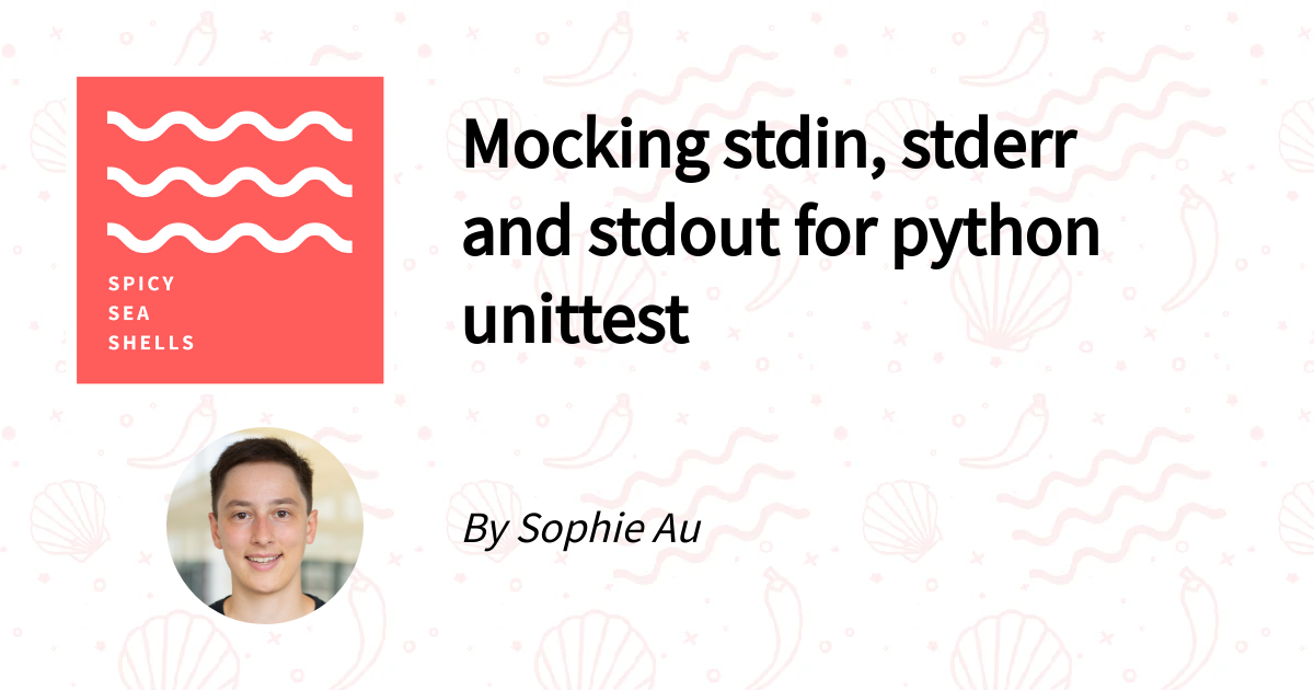 Mocking Stdin Stderr And Stdout For Python Unittest Spicy Sea Shells